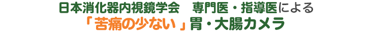 日本消化器内視鏡学会 専門医・指導医による「苦痛の少ない」胃・大腸カメラ